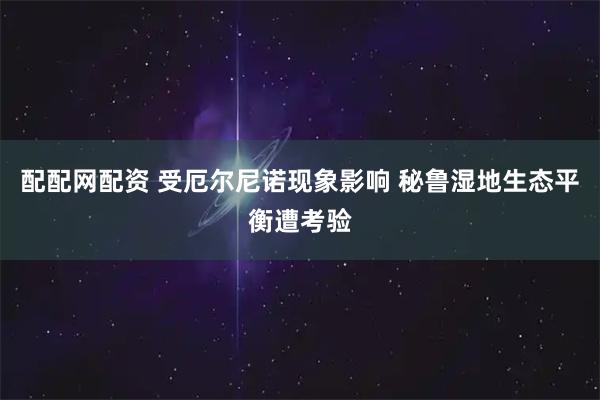 配配网配资 受厄尔尼诺现象影响 秘鲁湿地生态平衡遭考验